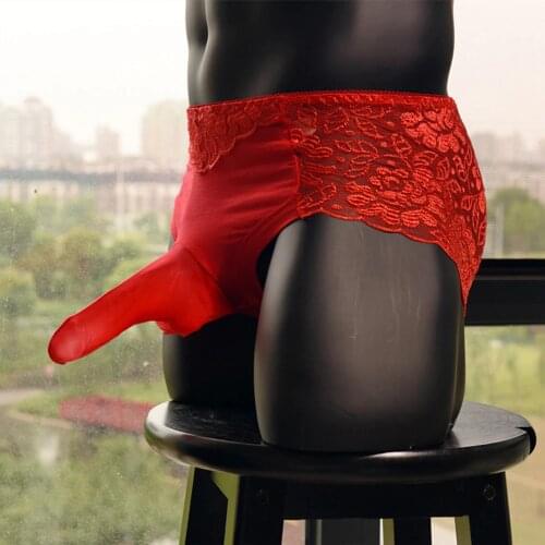 Mens Sexy Sissy Panties Lace Underwear With Penis Sheath Boxer Briefs Elephant Trunk Shorts Knickers Underpants Transparent