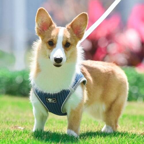 XLeiPet Harnesses
