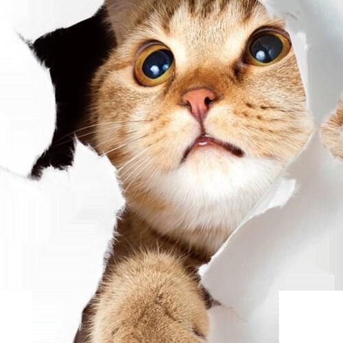 3D Cats Wall Sticker Toilet Decals Bathroom For Home Decoration Animals Cute Sticker Creative Living Room Wallpaper Aesthetic