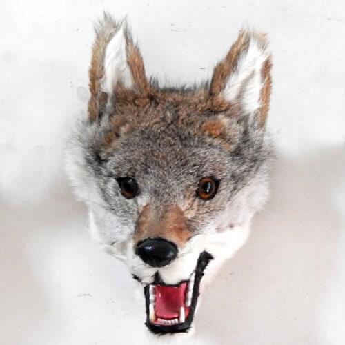 Simulation wolf head about 23x22cm gray wolf head toy fur hard model handicraft decoration gift h1241