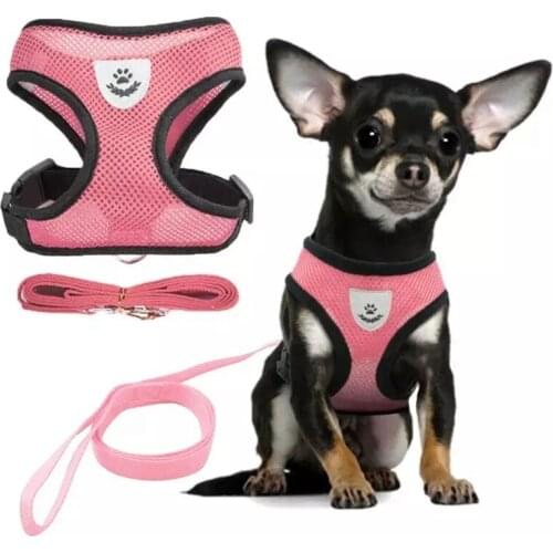 Breathable Mesh Harness Dogs Summer Vest for Small Dogs Cat Harnesses for Pets Chihuahua Pug Walking Adjustable Soft Chest Strap