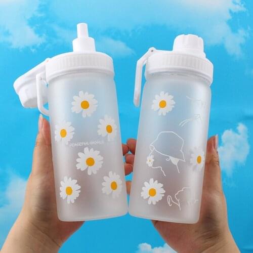 Small Daisy Borosilicate Glass Water Bottles 450ml 500ml 680ml 700ml Frosted Water Straw Kettle With Portable Rope Juice Tea Cup