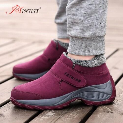 2021 New Fashion Women Martin Boots Autumn Winter Boots Classic Zipper Snow Ankle Boots Winter Suede Warm Fur Plush Women Shoes