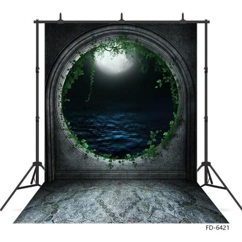 Full Moon Water Leaves Retro Pattern Photography Background Custom Backdrop Photo Studio for Children Baby Portrait Photophone