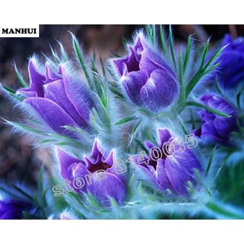 Full Square Diamond 5D DIY Diamond Painting Tulip flower Embroidery Cross Stitch Rhinestone Mosaic Painting Home Decor BEC065