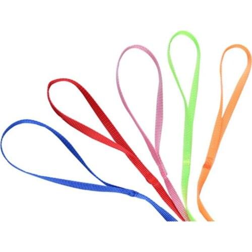 Portable New Parrot Bird Hamster Turtle Lizard Traction Rope Reins 8-shaped Pet Strap Leash