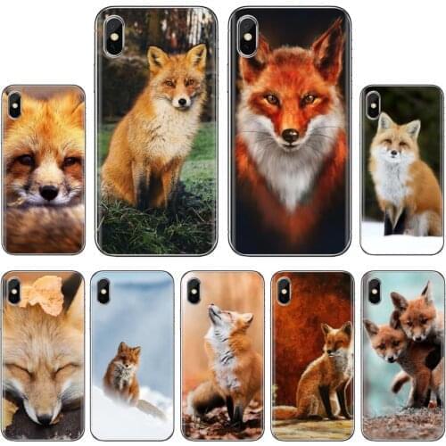 Foxs-cute-C-Anime-fox-funny For Samsung Galaxy A9 A8 Star Lite A3 A5 A7 A6 Plus 2018 2015 2016 2017 Soft Bag Case