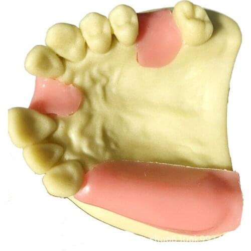 7 type soft gingival suture practice Dental teaching training implant practice simulation of osteomaxillary missing teeth model