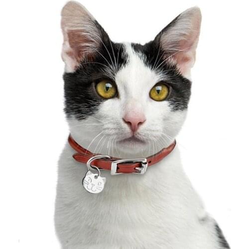 Personalized Cat ID Tag Engraved Cats Name Tags Paw Print Customized Name Plate Dog Cats Kitten Accessories