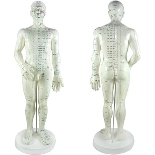 Free Shipping English Medical Female Male Human Body Acupuncture Point Model 48CM 50CM