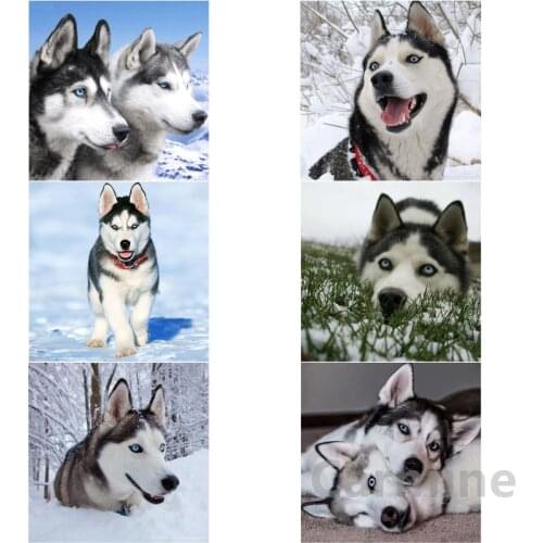Dogs DIY 5D Husky In The Snow Diamond Painting Animal Cross Stitch Mosaic Wall Sticker Full Round&Square Drill Home Decoration