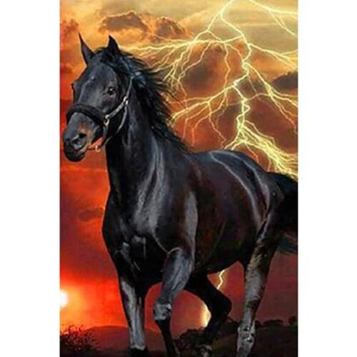 Diamond Painting 5D DIY Animal Painting Dark Horse Scenery Picture Square/Round Diamond Cross Stitch Embroidery Decor Art WG3145