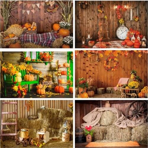 Autumn Farm Barn Hay Haystack Pumpkin Wood Floor Newborn Baby Portrait Scene Backdrop Photography Background For Photo Studio