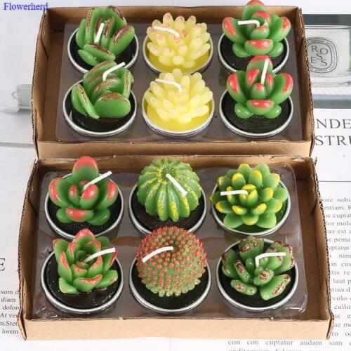 Succulent Plant Cactus 12 Pack Craft Candle Creative Smokeless Scented Candle Birthday Decors Wedding Decoration Party Supplies