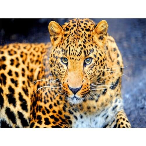 Old Street Full Drill Square Round 5D DIY Diamond Painting Leopard Diamond Embroidery Cross Stitch Pebble Round Painting kit