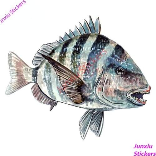 Sheeps Head Fish Fishing Home Office Room Camp Car Stickers and Vinyl Decal for Window Decor Scratch-Proof Exterior PVC13x11cm