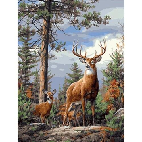 50x40cm Paints By Numbers Animals Pictures Oil Drawing By Numbers Deer Full Set Coloring By Numbers Home Decor