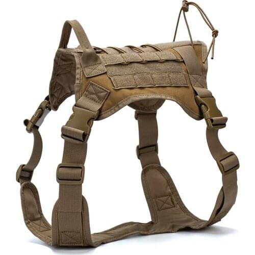 BUCKSGEAR Sports Protection