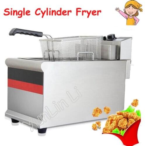 Electric Single Cylinder Fryer French Fries Fritters Chicken Machine Commercial Frying Machine IDZG-903