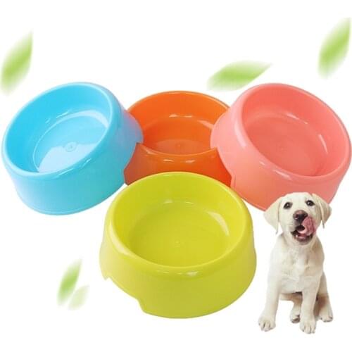 Cat Bowl Pet Bowl Dog Food Feeder Cat Waterer Feeder Cat Puppies Feeding Supplies Small Dog Accessories