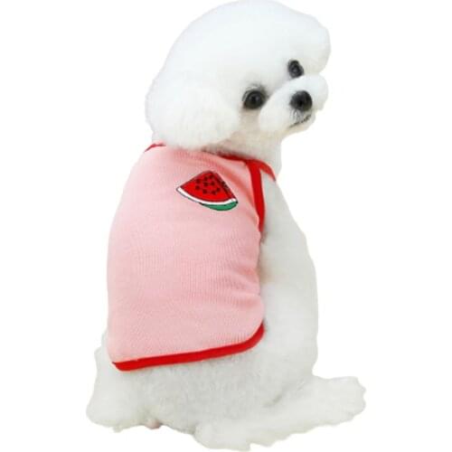 Camisole Fruit Pattern Embroidery Two-legged Breathable Soft Vest For Pet Made Of High Quality Cotton Material Dog Cothes