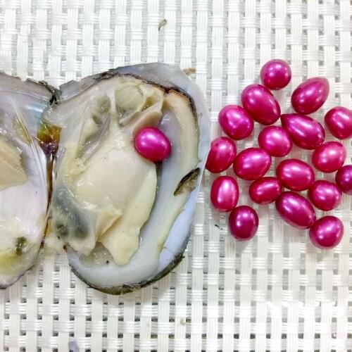 Colorful Rice Pearls in Akoya Oysters Wholesale 6-7mm Rice Freshwater Pearl Oyster Shell Vacuum Pack Love Wish Pearls FP192