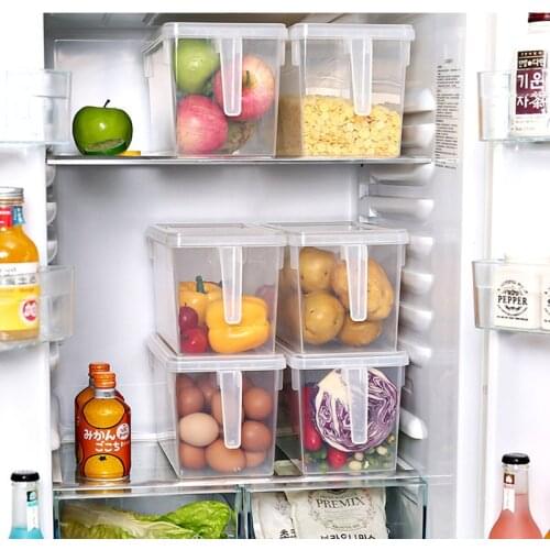 TALI Clear Plastic Storage Boxes with Lids - 5 Liters - Pack of 3