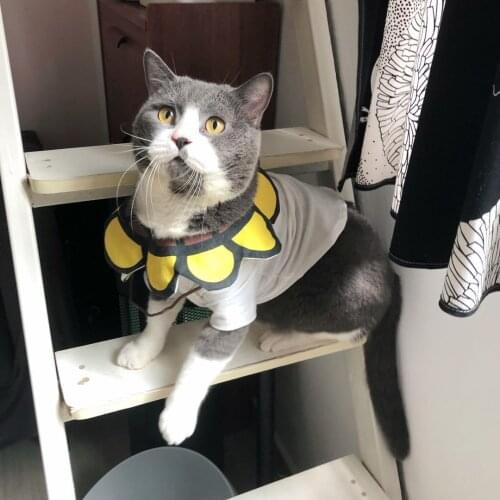 Dog Clothes for Small Dogs Sunflower Vest for French Bulldog Chihuahua Cotton Coat for Yorkies Pet Clothing for Cat Pug Costume