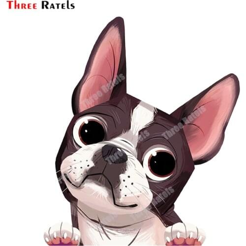 Three Ratels B382 Boston Terrier Car Window Sticker Decal Waterproof Protected Vinyl Material