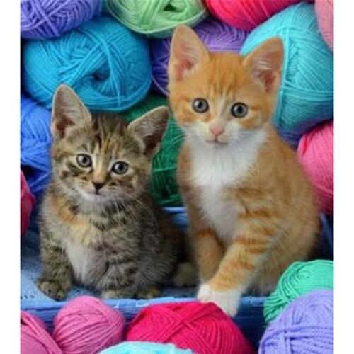 5D DIY Diamond Painting Animal Painting Two Kittens Picture Square/Round Diamond Cross Stitch Embroidery Decoration Craft WG2926