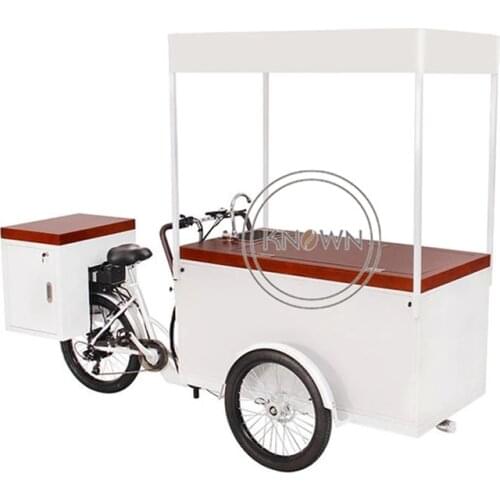 Three wheel 230L mobil cart deliveriy cargo tricycle electric ice cream food e bike for sale