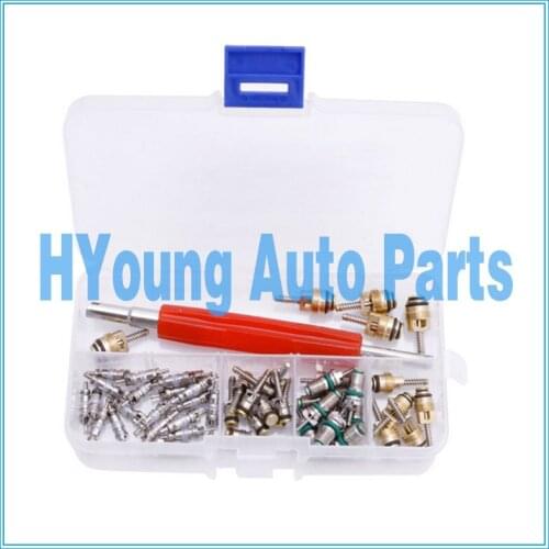 Auto parts air-conditioning repair tool, A/C Core Valve R12/ R134A Remover Kit 50Pcs