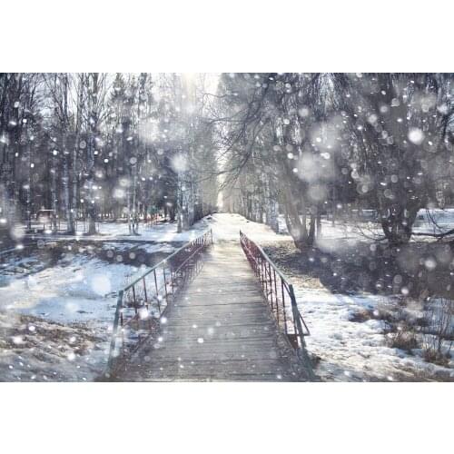 VinylBDS Thick Snow Winter Photography Backdrops Sun Fond Photographie Cedar Wooden Bridge Kate Background Backdrop