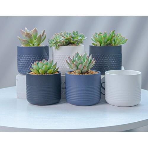 Eramic Fleshy Flowerpot Nordic Style Simple Straight Tube Modern Black and White Gray Matte Succulent Green Planter