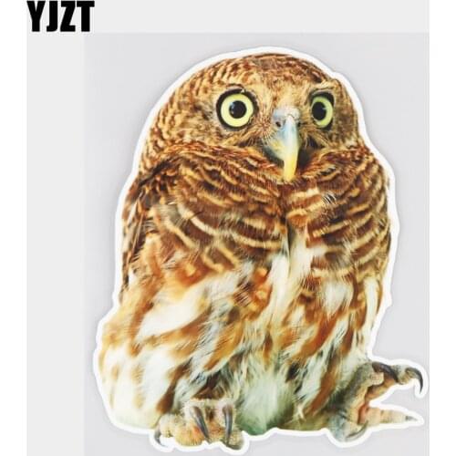 YJZT 14.2×16.9CM Little Owl Funny Bumper Decoration Stickers Scratch Occlusion Animal Car Accessories 21A-0871