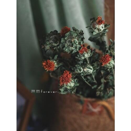 10pcs Natural Plant Real Flower Pineapple Orange Dried Flower Bouquet with Hay Vintage B & B Living Room Decoration Red Flower