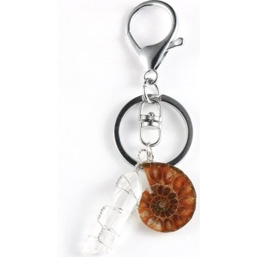 Natural Stone Conch Fossils White Crystal Pendant Key Ring Snail Animal Seashell Ocean Reliquiae Key Rings Keychain Jewelry
