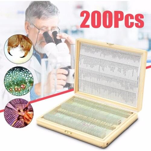 Biology 200 PCS Prepared Biological Basic Science Microscope Glass Slides School and Laboratory English Label Teaching Samples