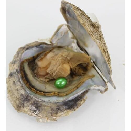 Bulk 20pcs AAA Green Rice Pearls in Akoya Oysters 6-7MM Oval Pearls Saltwater Pearl Oyster Christmas Present 18 Colors FP270