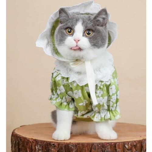 Pet Clothing Spring Summer Lace Flower T-Shirt For Dogs Teddy Schnauzer Pug Small Dog Cat Clothing Hoodies With Hat For Puppy