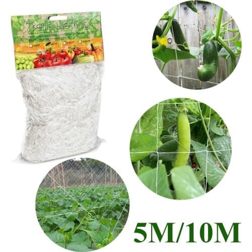 1.67*5m/1.67*10m Plant Trellis Netting Heavy-Duty Polyester Plant Support Vine Climbing Hydroponics Garden Net Accessories