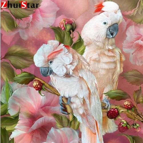 Diamond painting 5D DIY parrot bird full square animal crafts cross stitch diamond inlaid diamond embroidery home decoration ZWQ