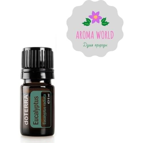 DoTERRA Eucalyptus Essential Oils
