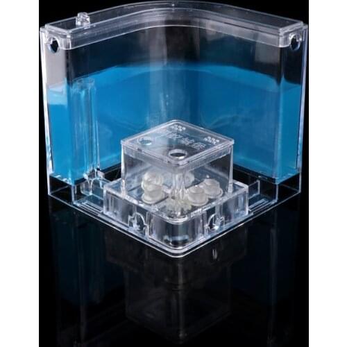 Ant Farm Gel Maze 3D Educational Nursery Live Feeding System Novelty Habitat New D08D