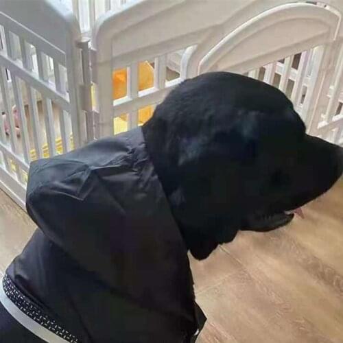 Puppy Windbreaker for Small Medium Dogs Fashion Dog Coat Jacket French Bulldog Clothes PDC0081