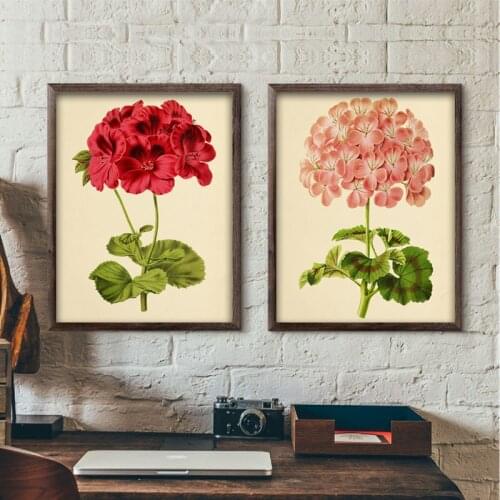 Flowers Plants Painting Orchid Lily Wall Art Print Modern Home Bedroom Study Parlor Decor Pictures Vintage Posters Kraft paper