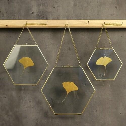 Hexagon Glass Photo Frame Copper Edge Simple Transparent Specimen Frame Photo Frame Metal Photo Wall