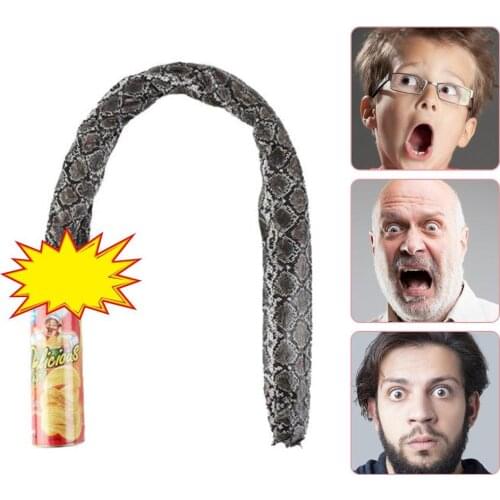 Funny Potato Chip Can Jump Spring Snake Roach Toy Gift April Fool Day Halloween Party Decoration Prank Trick Fun Joke Toys
