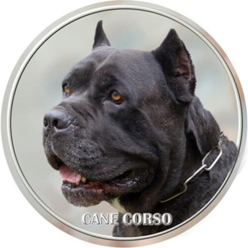 S40406# Various Sizes PVC Decal Cane Corso Dog Car Sticker For Bumper Rear Window Laptop Refrigerator Toilet