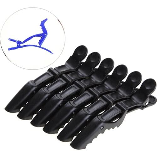 Aister Hair Clips